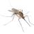 Tigerville Mosquitoes & Ticks by Panther Pest Control LLC
