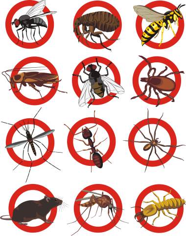 Pest control services by Panther Pest Control LLC