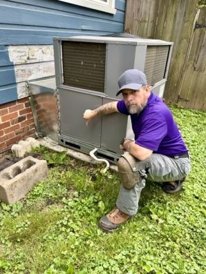 Pest Control in Greenville, SC (1)