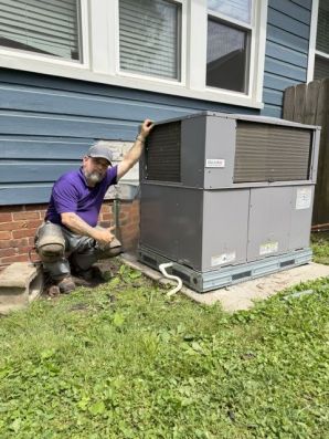 Pest Control in Greenville, SC (2)