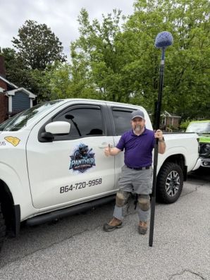Hornet & Wasp Control in Spartanburg, SC (1)