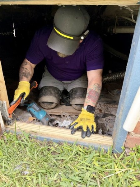 Termite Control in Greer, SC (1)