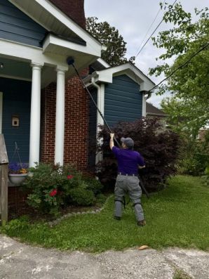 Hornet & Wasp Control in Spartanburg, SC (2)